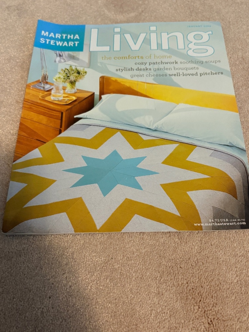 January 2003 Martha Stewart Living magazine